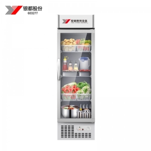 銀都318展示柜JBL0201S冷藏保鮮展示柜蔬果酒水飲料柜留樣柜